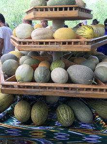 新疆的白面瓜怎么吃,新疆白面瓜的多彩食法探索