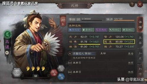 三国志战略版陆老师大瓜,陆老师大瓜背后的真相与影响