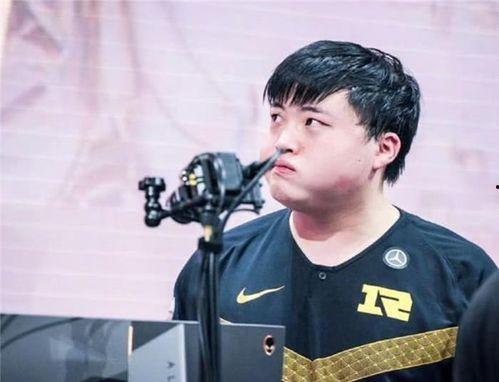 圈内大佬爆料flandre,圈内大佬揭秘神秘生成背后的故事