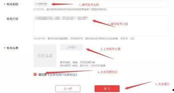 头条如何申请认证赚钱,头条认证申请全解析
