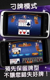 明星大老二,娱乐圈的狂欢盛宴