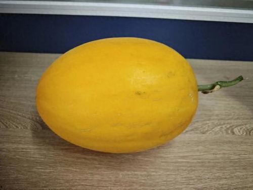 广西吃的瓜,广西特色瓜果美食之旅