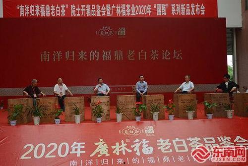 福鼎新闻爆料,揭秘当地热点事件背后的真相