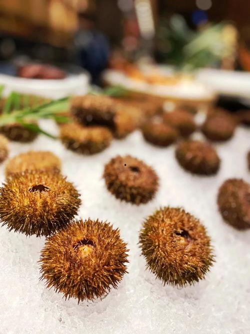 海胆瓜怎么吃,探索美味与营养的完美融合