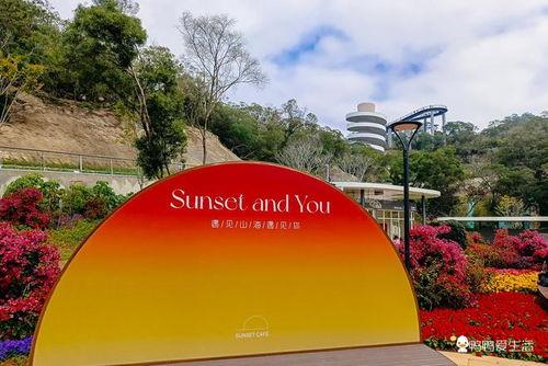 厦门网红打卡户外,探寻城市绿意与潮流地标之旅