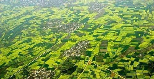 汉中平原今日头条,今日头条聚焦农业丰收与生态美景