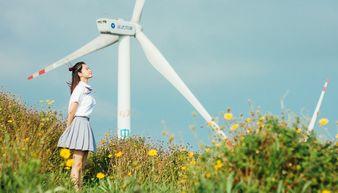 头条可以发到哪些领域去