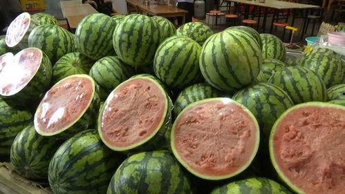 5吃瓜网,5吃瓜网带你领略明星幕后故事