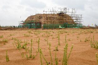 宁夏长城集团吃瓜,揭秘吃瓜背后的产业秘密